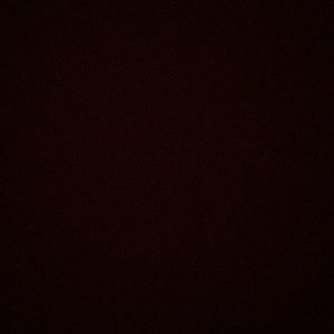 Meet your Posher, Rukhsana